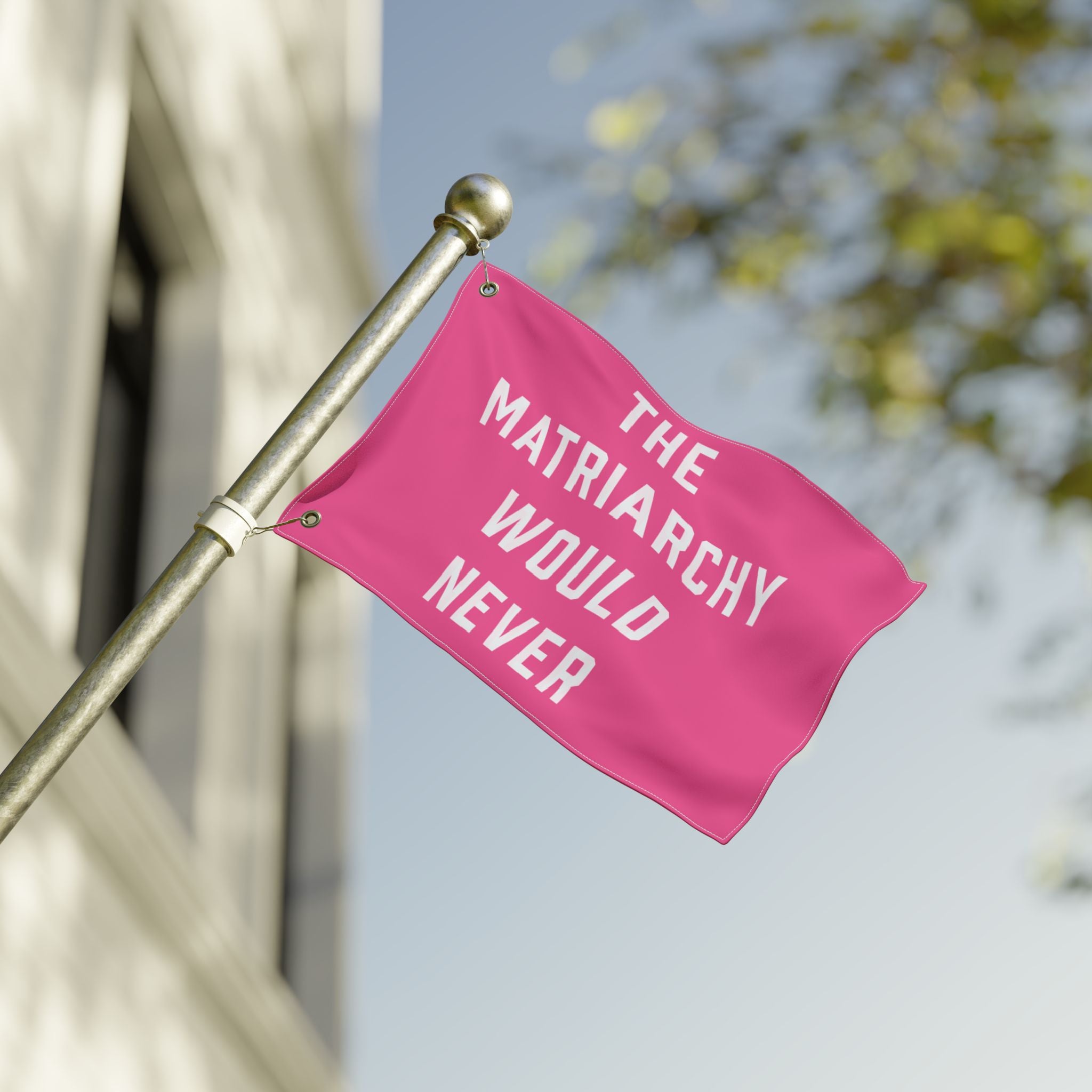 The Matriarchy Would Never Porch Flag